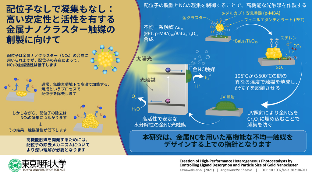 金属ナノクラスター技術を用いた新規光触媒の創製に成功～高機能触媒開発に重要な化学反応のメカニズム解明と高機能触媒の作製方法の確立～
