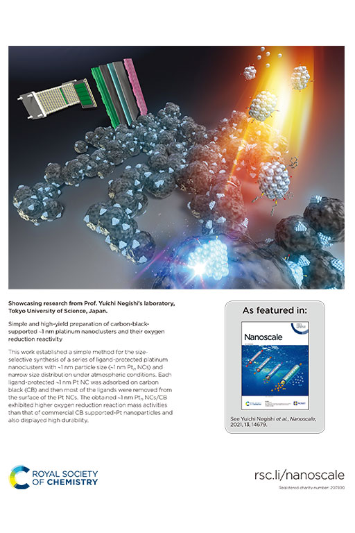 本学教員らによる論文が英国王立化学会発刊の『Nanoscale』のInside Back Coverに選出