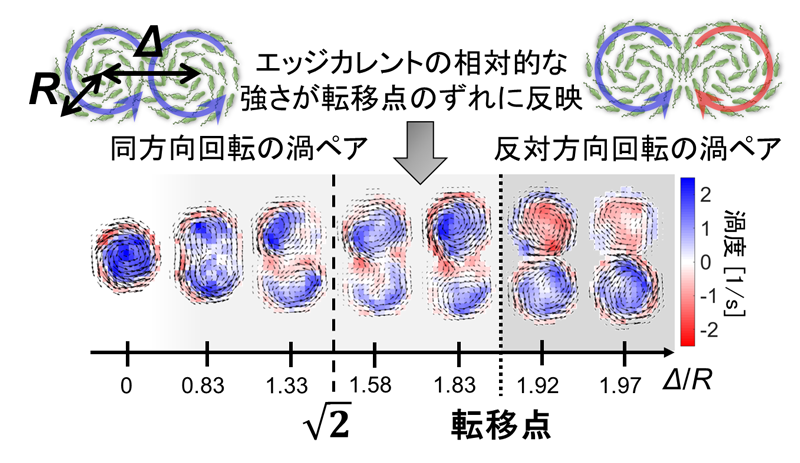 遊泳微生物における新たなキラル集団運動現象を発見