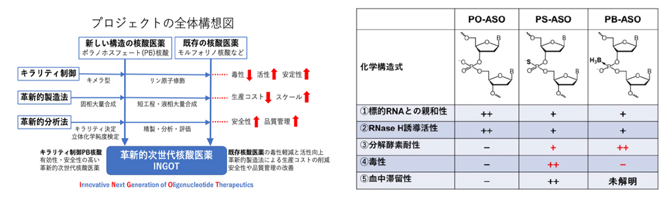 プロジェクトの全体構想図