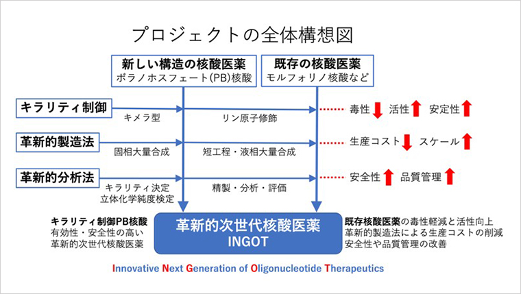 INGOTプロジェクト～革新的な次世代核酸医薬開発の大型