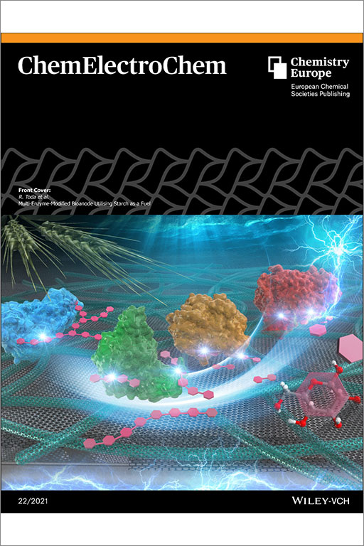 本学教員らの学術論文がWiley出版『ChemElectroChem』誌のFront Cover及びCover Profileに選出