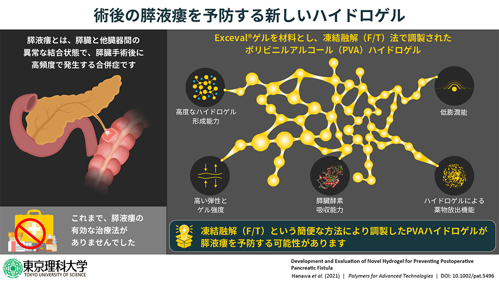 膵液瘻を予防する新しいハイドロゲル製剤の開発に成功～既存のポリマーで簡便に作れて薬物投与キャリアにもなる新材料～