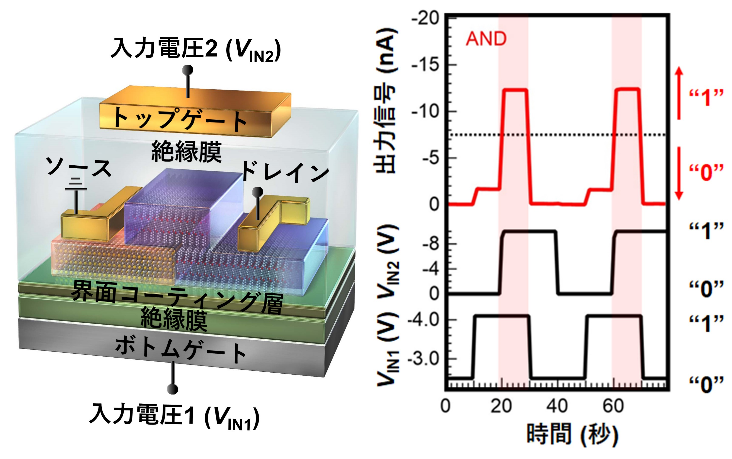 有機トランジスタの集積課題を克服～複数の論理演算回路を単一素子で実現～