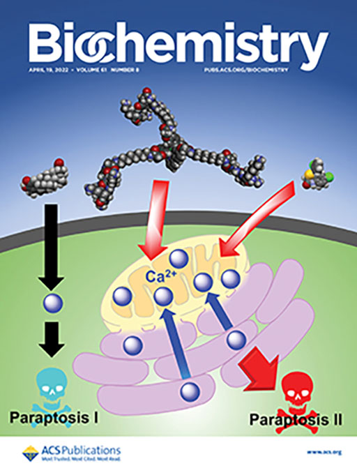 本学教員・大学院生らの学術論文が、アメリカ化学会『Biochemistry』誌のSupplementary Cover Artに選定