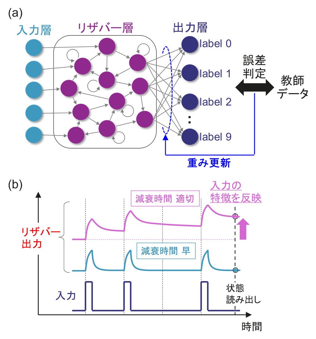 入力信号の時間スケールに応じて学習を最適化できる物理リザバーコンピューティングの新技術を開発~イオン液体のデザイン性を活かしたチューナブルなAI学習~