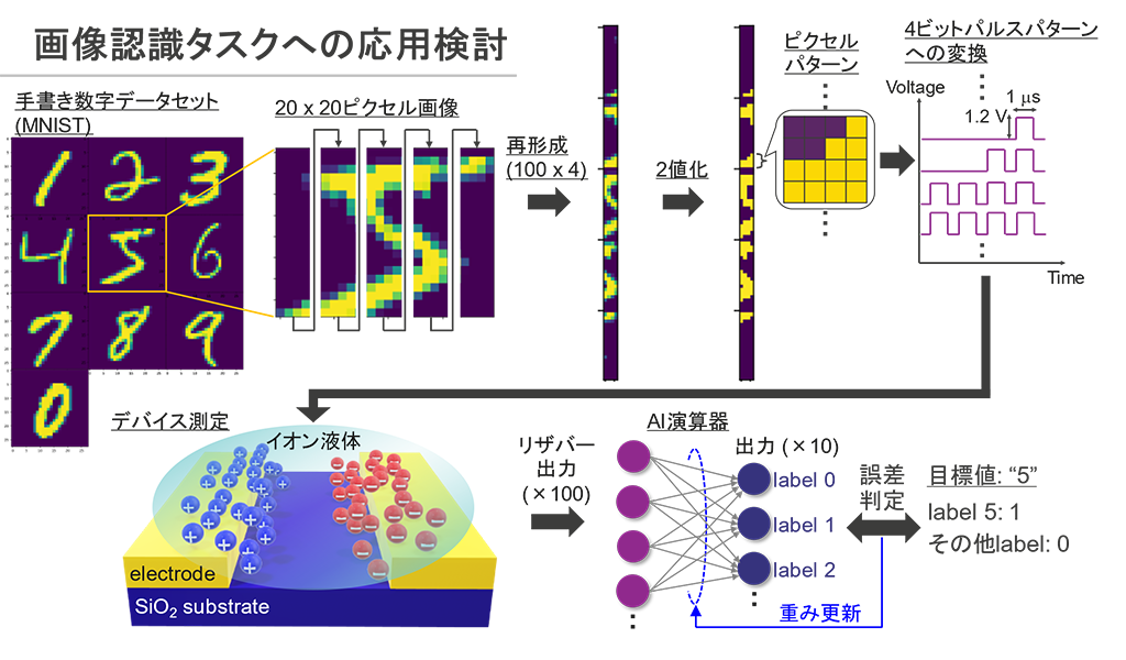 入力信号の時間スケールに応じて学習を最適化できる物理リザバーコンピューティングの新技術を開発～イオン液体のデザイン性を活かしたチューナブルなAI学習～