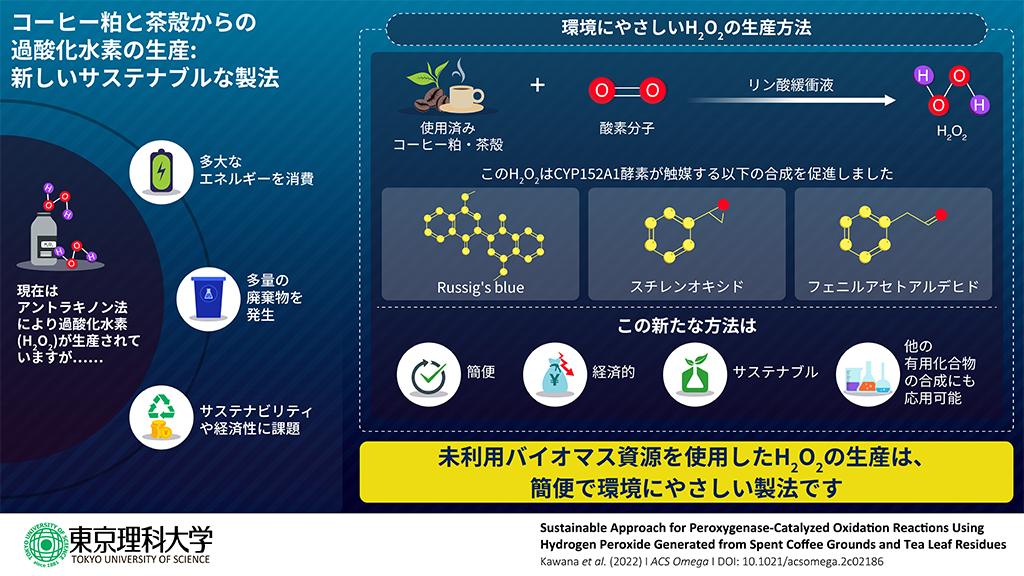 コーヒー粕と茶殻から過酸化水素を生産、さらにバイオプロセスへ応用～未利用バイオマス資源を利用したサステナブルな物質生産を実現～