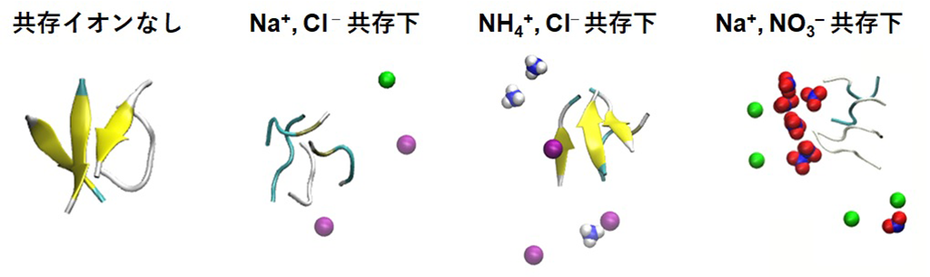 無機ナノ粒子表面でのタンパク質の挙動の一端を解明～実験と計算科学を組み合わせた新たなアプローチで医学応用可能な新材料の開発に挑む～