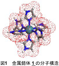 高温で多重プロトン輸送を可能にするスターバースト型分子プロトン伝導体～高温領域で働く、高効率な燃料電池の開発へ向けたプロトン伝導体の分子設計～