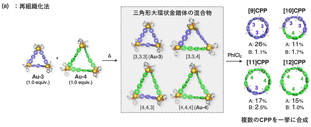 金と炭素がつくりだす新たな動的共有結合性を利用した新たな炭素ナノリングの合成法の確立