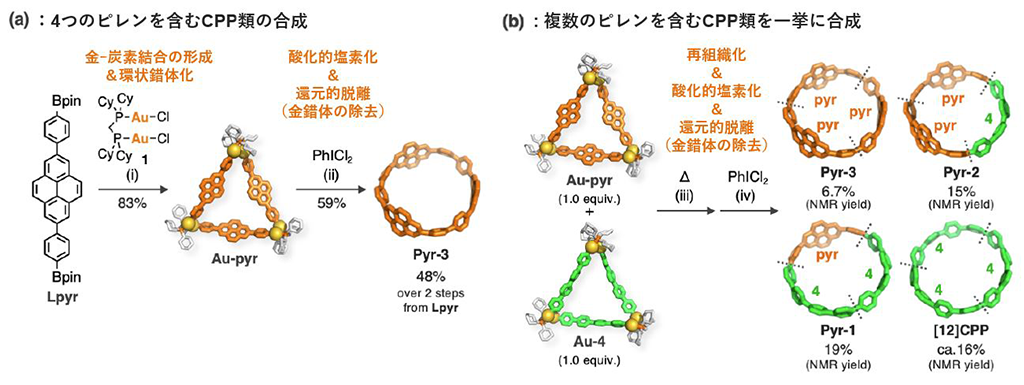 金と炭素がつくりだす新たな動的共有結合性を利用した新たな炭素ナノリングの合成法の確立