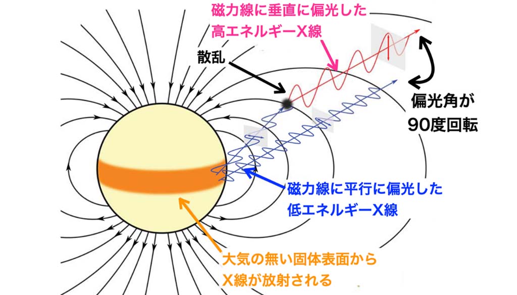 グネターは超強磁場を持つ大気のない中性子星
－磁石星からのX線偏光を世界で初めて観測－