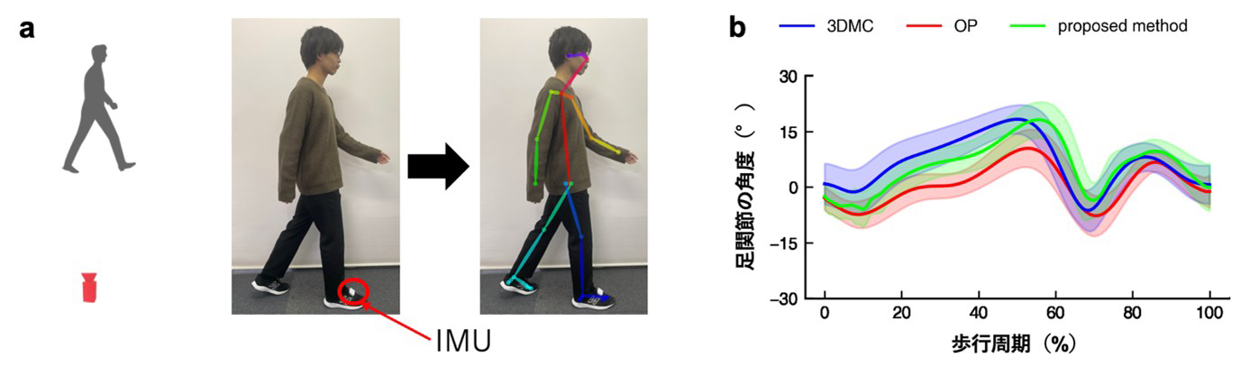 マーカーレスで簡便かつ高精度な歩行分析法を開発<br>～医療・スポーツなど幅広い分野での運動解析に寄与～