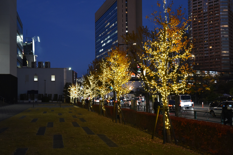 2022年 神楽坂キャンパス 外堀通り沿いの街路樹にイルミネーションが点灯