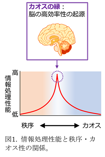 脳の働きを模
        したイオニクス情報処理素子を開発
～「カオスの縁」の再現でAI端末機器の高性能化に期待～