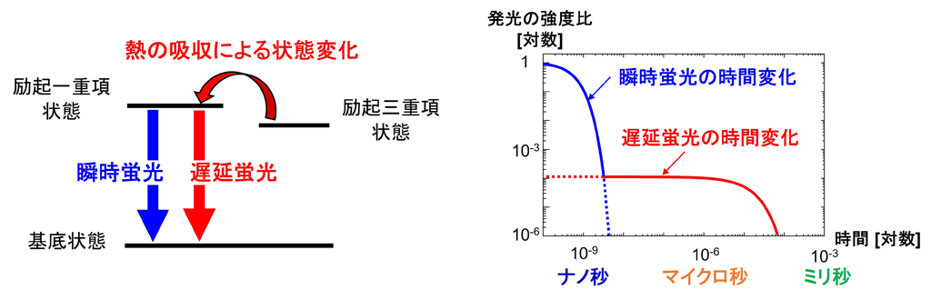 広範囲な発光の時間変化を数秒で計測する技術を開発 深層学習を活用した次世代有機EL材料開発の新たな道を拓く