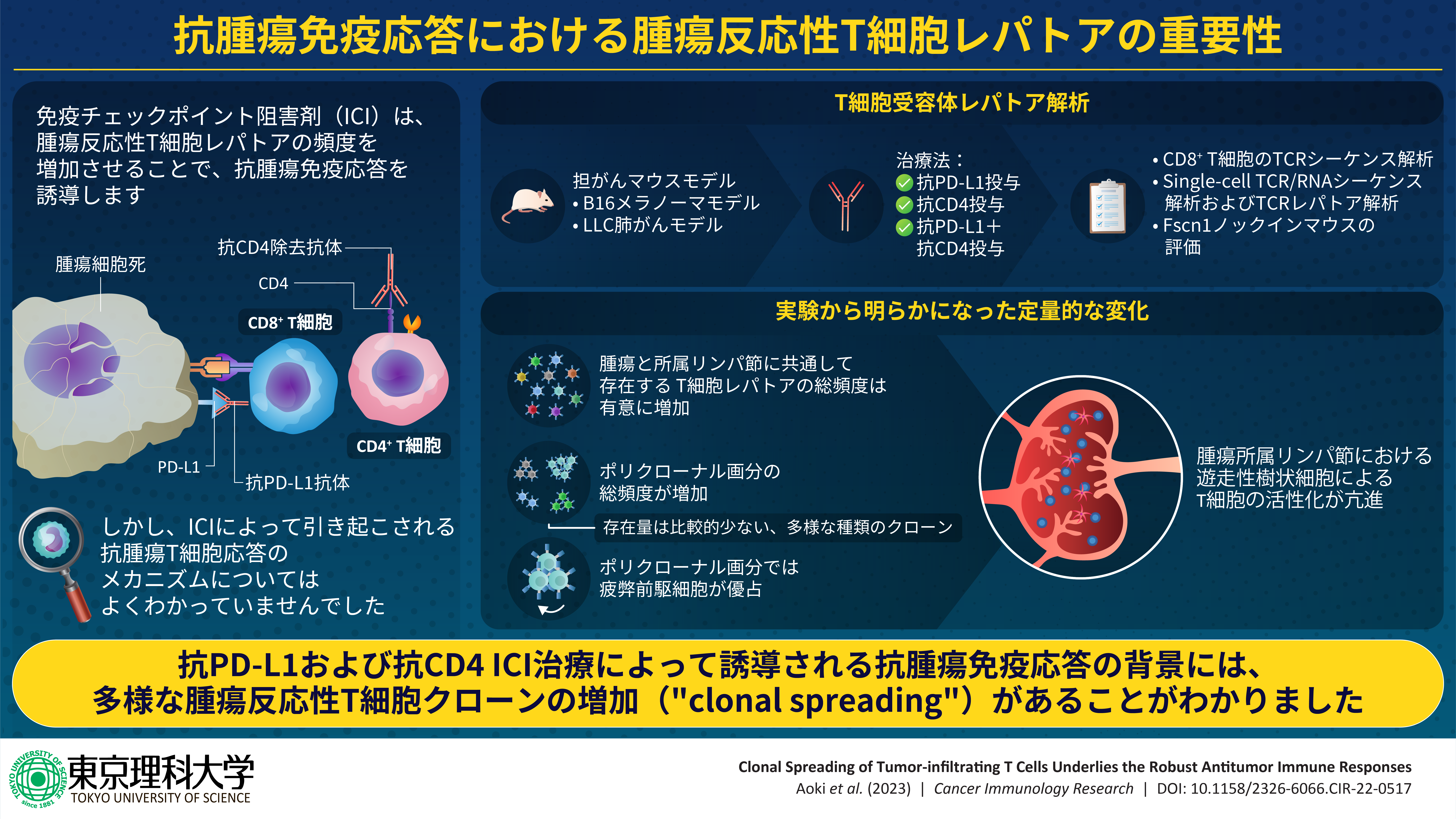 がん免疫療法の治療効果予測の新たな指標候補を発見～治療効果をさらに高める治療介入法や薬剤の開発にも期待～