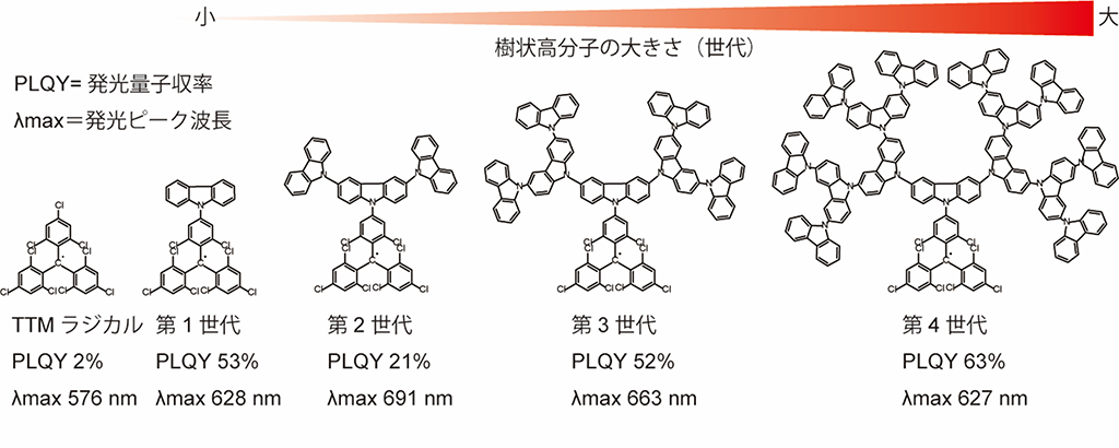 安定的で高効率発光を示すラジカルを開発 樹状高分子を結合することで発光効率と安定性が向上