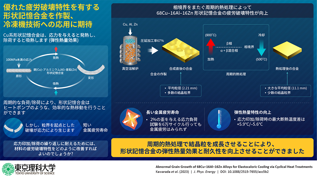優れた弾性熱量効果と疲労破壊特性を示す合金を開発~Cu系超弾性形状記憶合金の結晶粒の成長により合成~