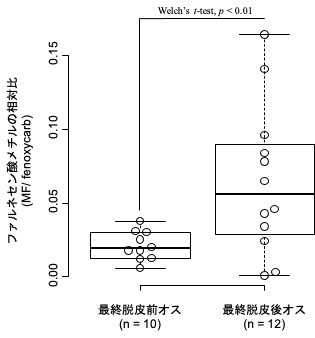 ズワイガニの最終脱皮前後で生じる生理学的な 変化の一端を明らかに!
