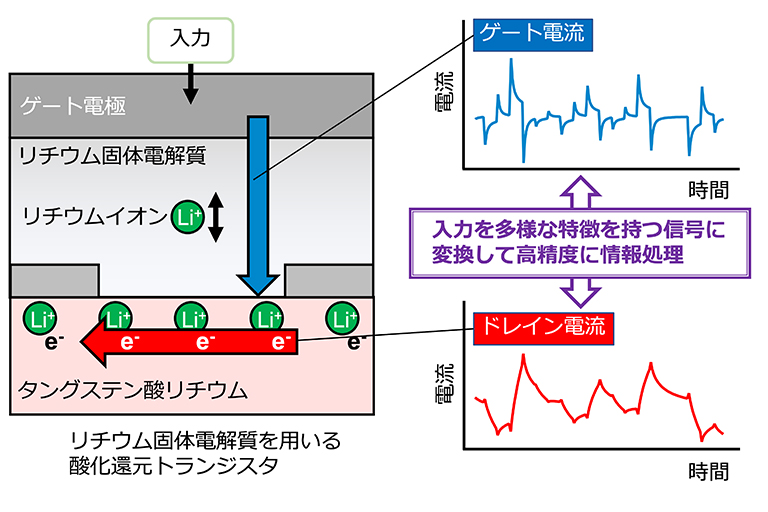 Liイオンの酸化還元反応を利用した高性能トランジスタの開発に成功～ニューロモルフィックコンピューティング技術の実現に貢献～