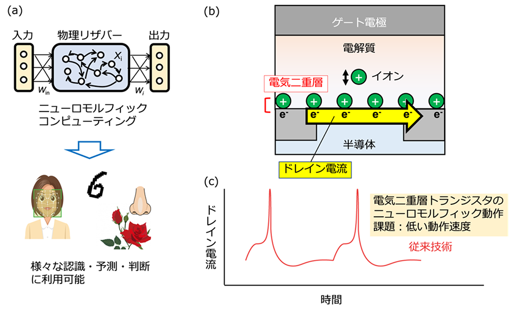 神経系の動作をマネする世界最高速度の電気二重層トランジスタ~汎用性AI端末機器の高速化に期待~
