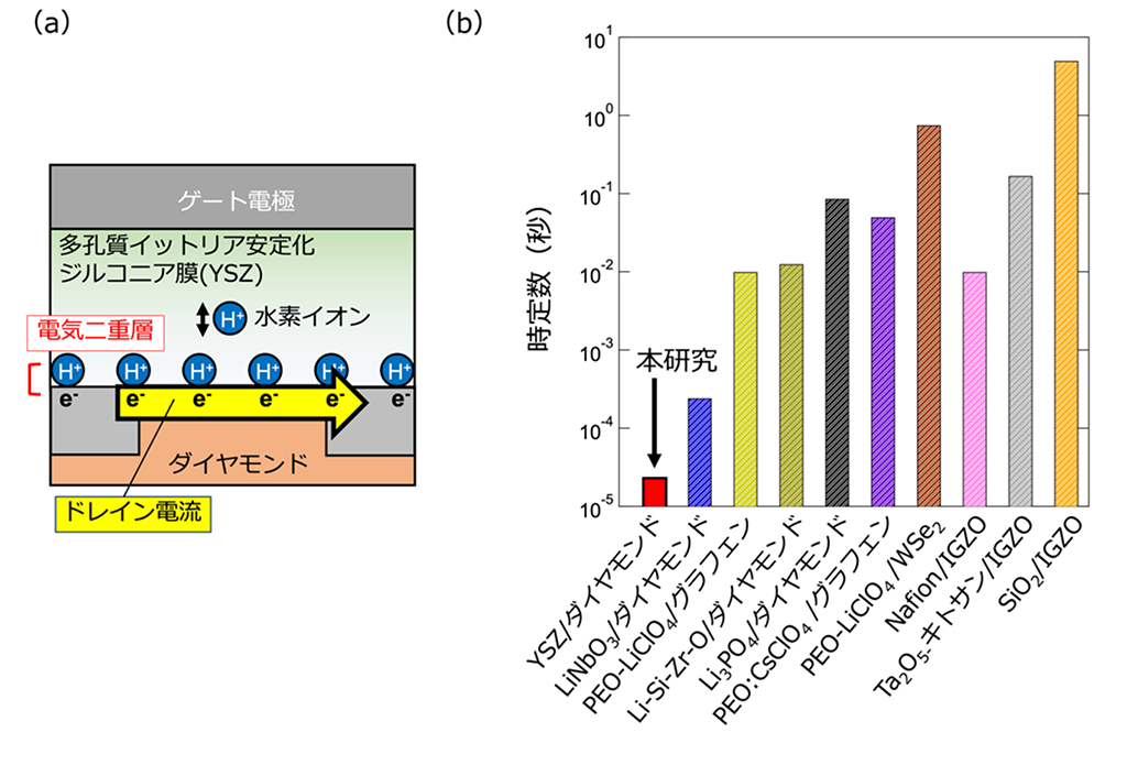 神経系の動作をマネする世界最高速度の電気二重層トランジスタ~汎用性AI端末機器の高速化に期待~