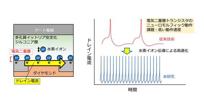 電気二重層と電極反応機構　絶版物 電気二重層と電極反応機構 絶版物 本