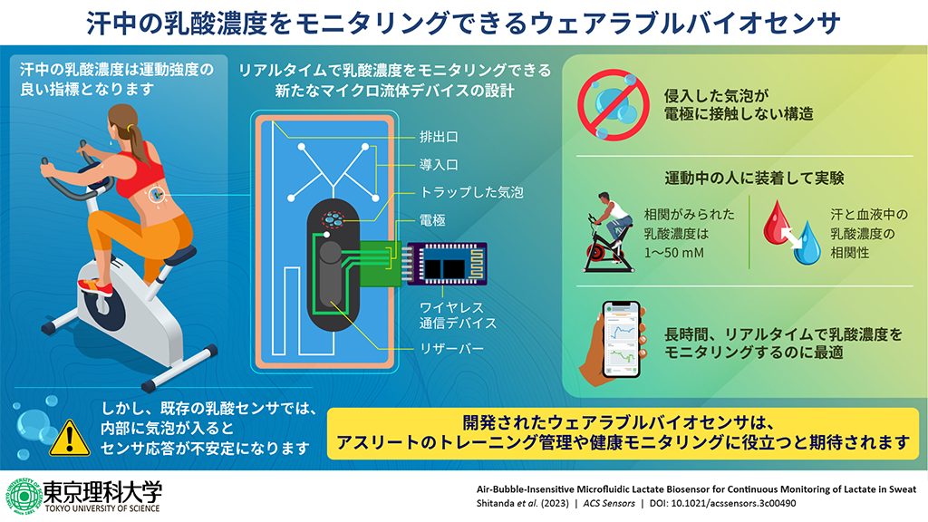 汗中乳酸濃度を長時間安定してモニタリングできるバイオセンサを開発～センサ内に侵入した気泡を捕捉し、測定への影響を抑制～