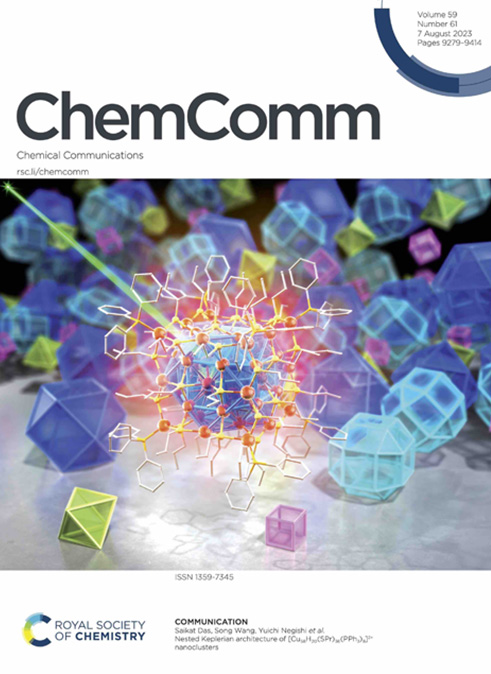 根岸 雄一教授らによる論文が英国王立化学会出版のChemical Communications誌のOutside Front Coverに選出