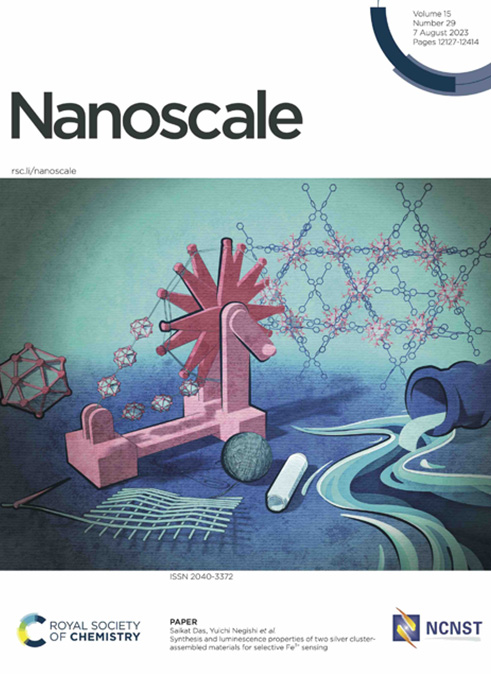 根岸 雄一教授らによる論文が英国王立化学会出版のNanoscale誌のOutside Front Coverに選出