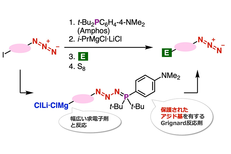 広範なアジドを合成する新たな方法を確立~医薬品として有用な1,2,3-トリアゾール類の合成が容易に~