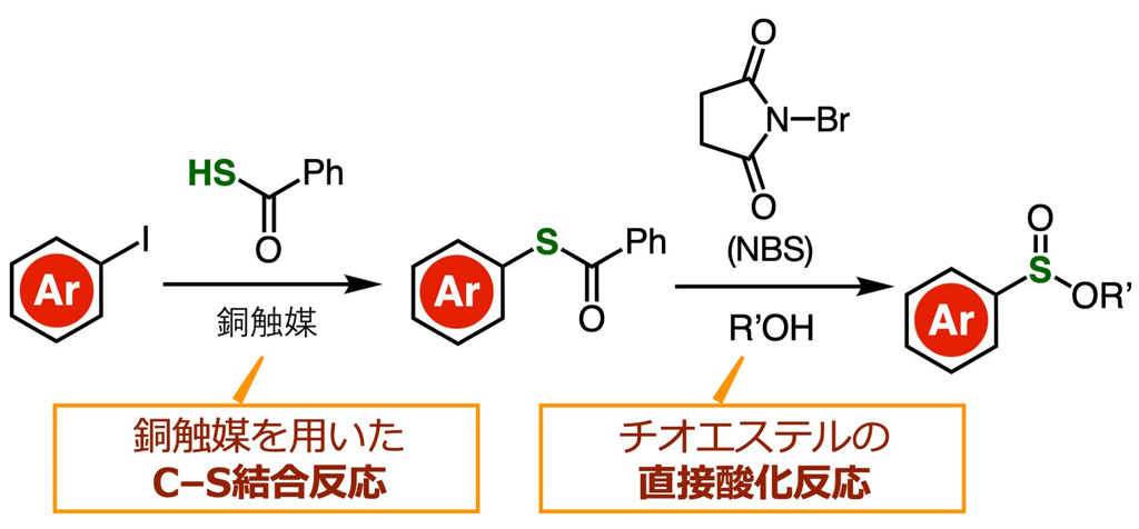 チオエステルの直接酸化によりスルフィン酸エステルを簡便に合成
～創薬や材料化学に有用な有機硫黄化合物の調製が容易に～