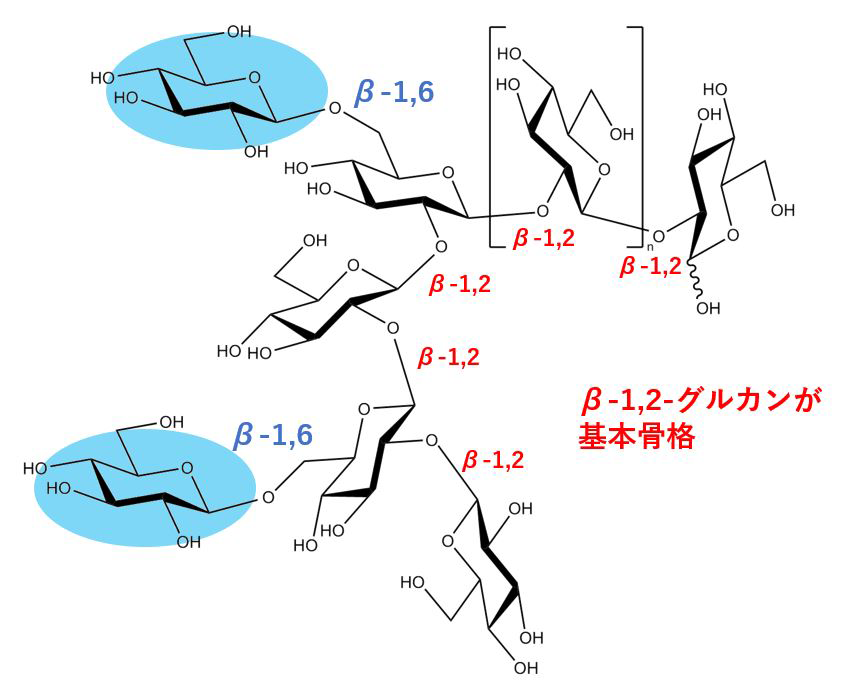 細菌の病原性などに関わる糖鎖「OPG」の新規の生合成酵素を発見～新たな創薬ターゲットとなる可能性～