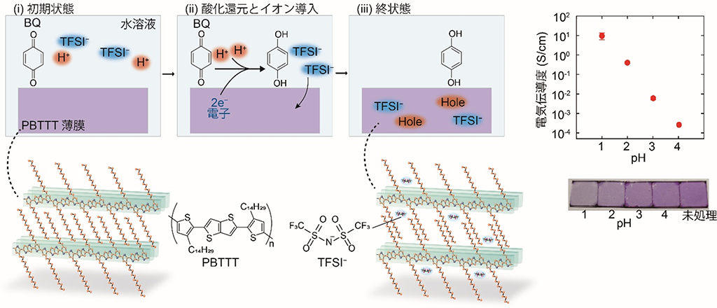 水溶液中での有機半導体の精密ドーピング～フレキシブルデバイス産業応用で鍵となる基盤技術を確立～