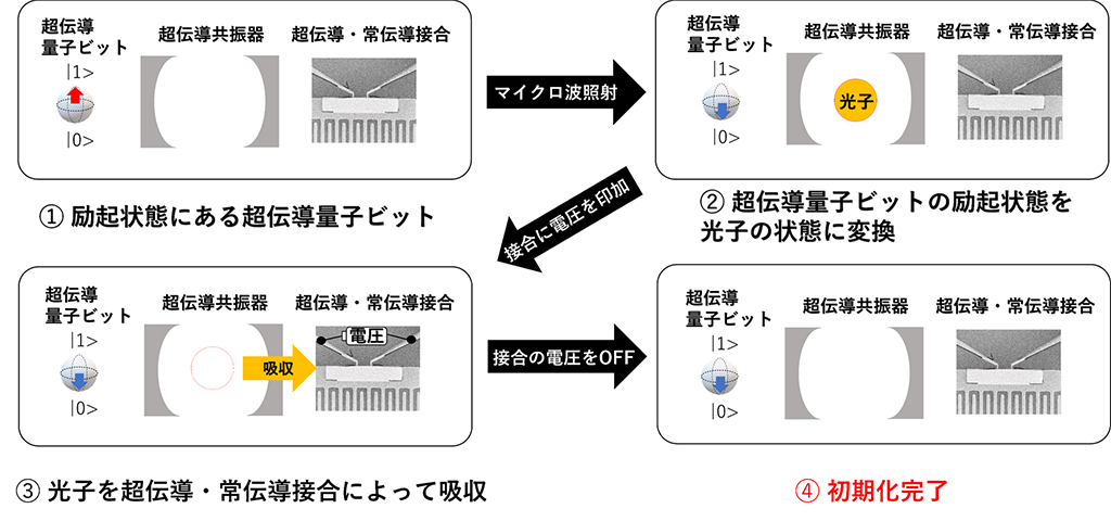 量子コンピューターの高速初期化の鍵を握る新技術を開発～ナノデバイスの光子吸収を利用して超伝導量子ビットの初期化を加速～