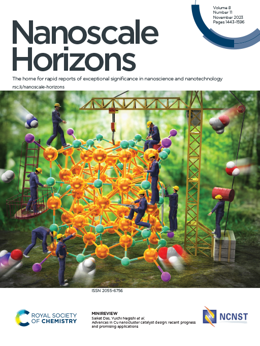 根岸 雄一教授、Saikat Das助教及びSourav Biswas博士らによる総説が英国王立化学会出版「Nanoscale Horizons」誌のInside Front Coverに選出