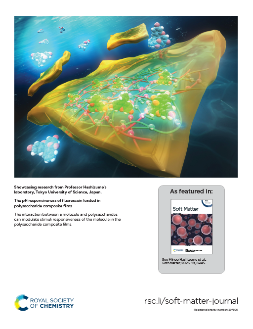 橋詰 峰雄教授及び佐川 拓矢助教の学術論文が英国王立化学会発行「Soft Matter」誌のBack Coverに選出