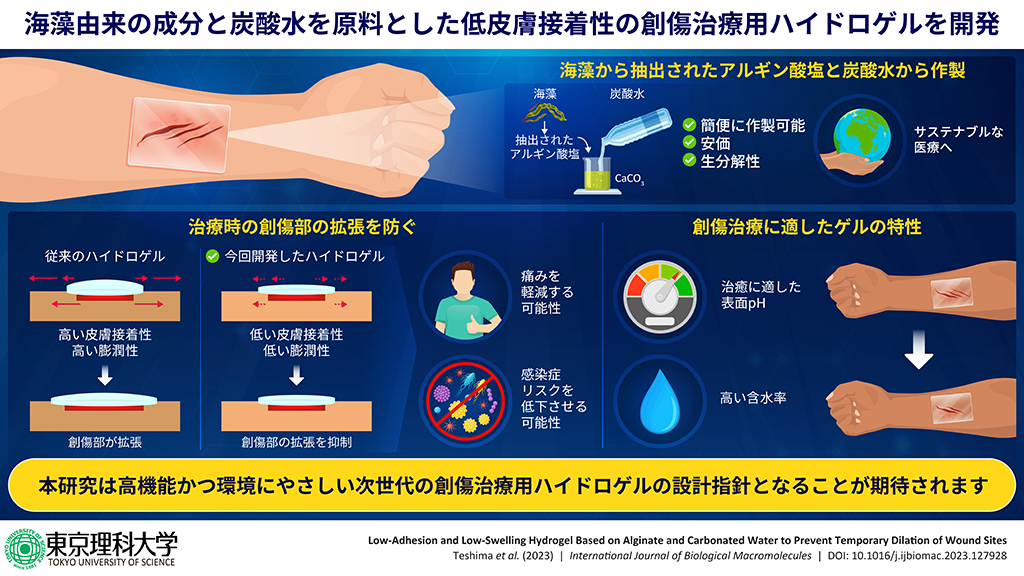 海岸に漂着した海藻の成分と炭酸水を用いて高機能な創傷治療用ゲルを開発～従来の創傷治療用ゲルと真逆の低皮膚接着性・低膨潤性が創傷部の拡張を抑制する～