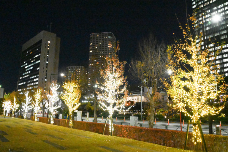 2023年 神楽坂・野田・葛飾キャンパスにイルミネーションが点灯
