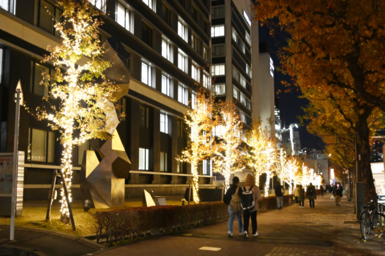 2023年 神楽坂・野田・葛飾キャンパスにイルミネーションが点灯