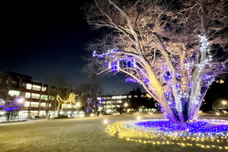 2023年 神楽坂・野田・葛飾キャンパスにイルミネーションが点灯