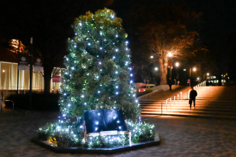 2023年 神楽坂・野田・葛飾キャンパスにイルミネーションが点灯