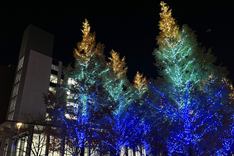 2023年 神楽坂・野田・葛飾キャンパスにイルミネーションが点灯