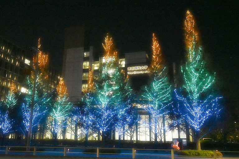 2023年 神楽坂・野田・葛飾キャンパスにイルミネーションが点灯