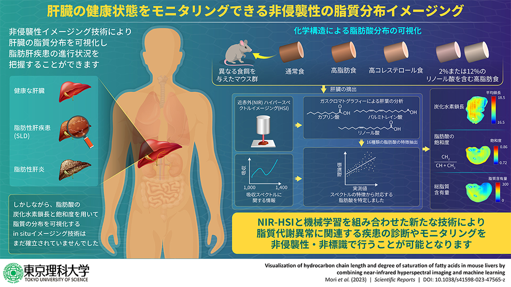 生体組織中の脂肪酸分布の特徴を無標識で可視化する手法を開発～脂肪酸の特徴量分布から正常組織、病変組織の特定が可能に～