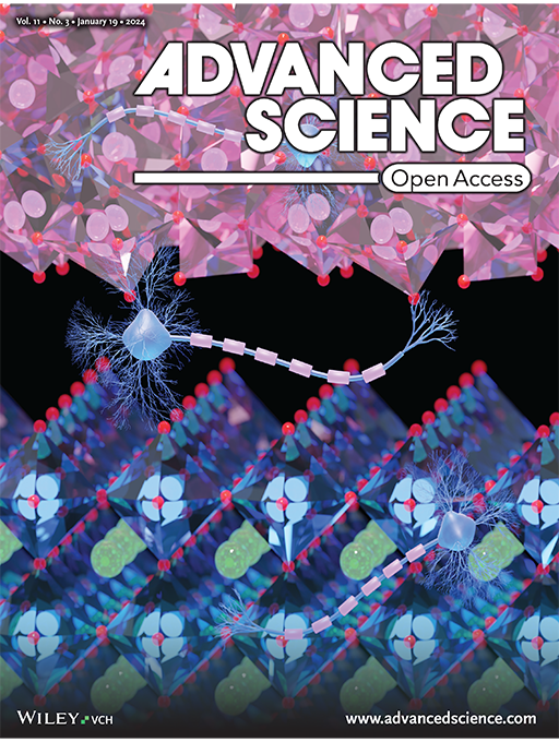 木下 健太郎教授の学術論文がWiley社出版「Advanced Science」誌のInside Front Coverに選出
