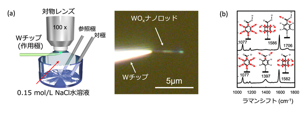 たった数個の有機分子が情報を記憶・計算して血糖値変化を高精度予測〜分子振動を利用した小型AIデバイスの開発とその動作実証〜