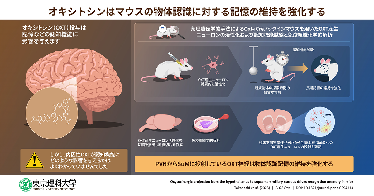 ブラキシズムの臨床 : その発生要因と臨床的対応 ブラキシズムの臨床 その発生要因と臨床的対応/佐藤貞雄/玉置